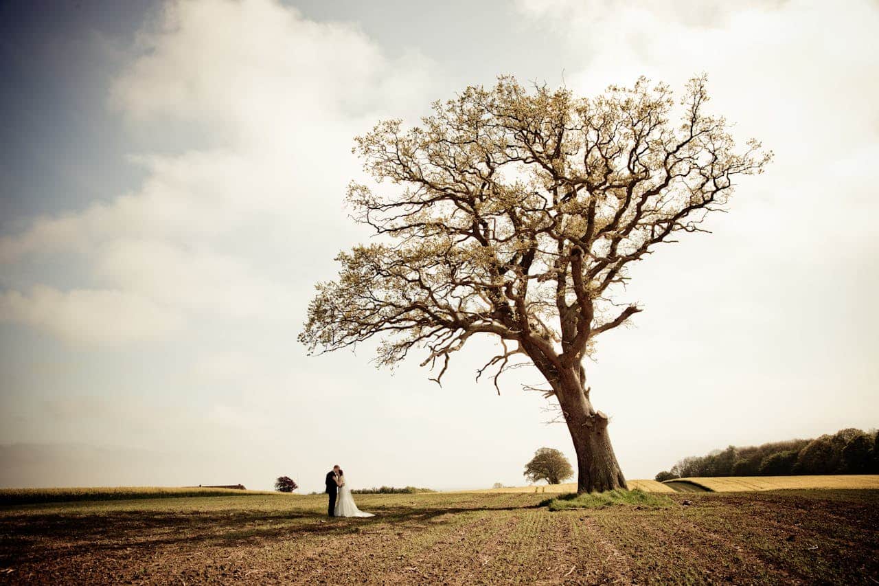 services-02 Newlywed couple embracing under a large oak tree in a peaceful rural setting.